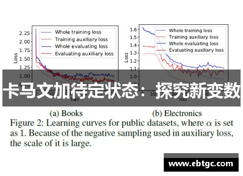 卡马文加待定状态：探究新变数